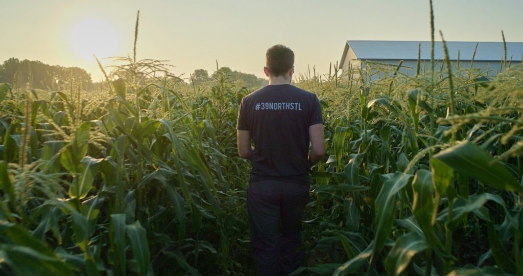 Image of a man wearing a black shirt walking through a corn field