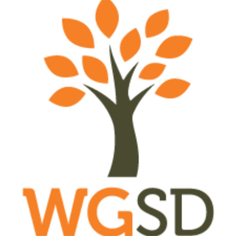 Webster Groves School District Joins the St. Louis Mosaic Project Ambassador School Program