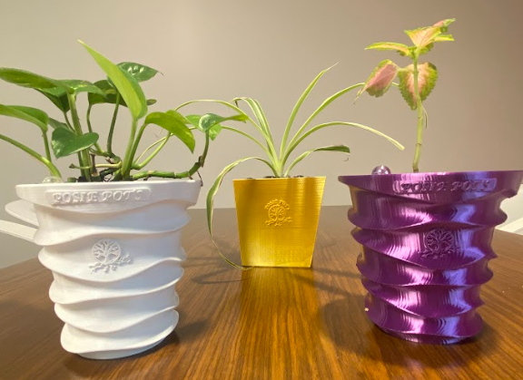 Revolutionizing Plant Care with Posie Pots