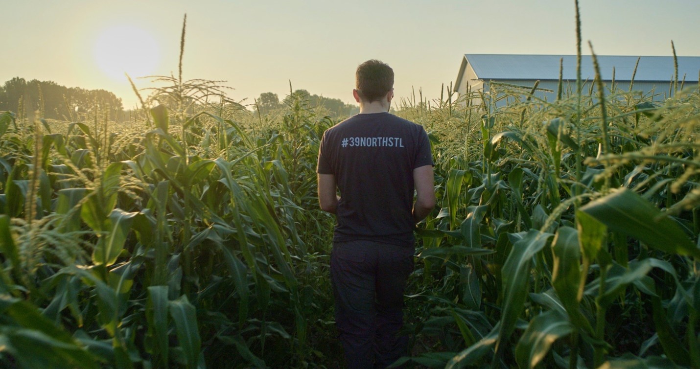 Image of a man wearing a black shirt walking through a corn field