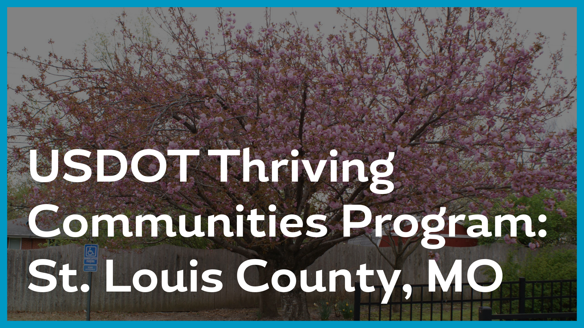picture of tree with blue outline with the words "USDOT Thriving Communities Program: St. Louis County, MO"
