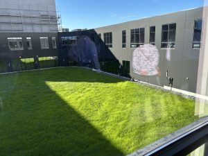 large green space at facility